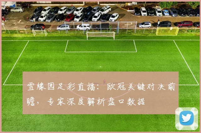 雪缘园足彩直播：欧冠关键对决前瞻，专家深度解析盘口数据