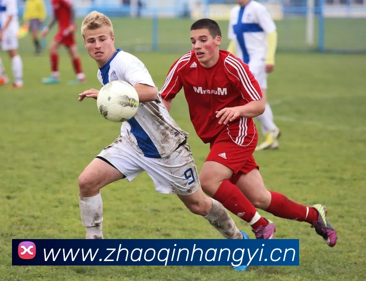 App Interface Preview