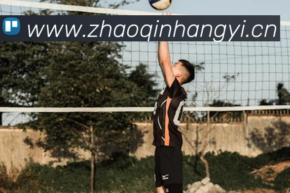 半岛官网在线登录APP 封面图